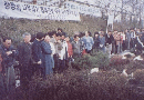 생명의 나무심기 캠페인,나무 나누어주기 행사(1999년)