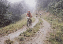 서부지방산림관리청장배 숲속 자전거 대회(1997년)