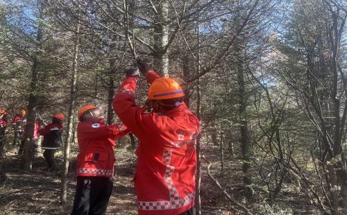 동부지방산림청, 고산 침엽수림 보전 숲가꾸기 체험행사 성료