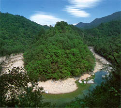 백담계곡의 수립과 물 (forests and streams in the Backdamgyegok(valley))