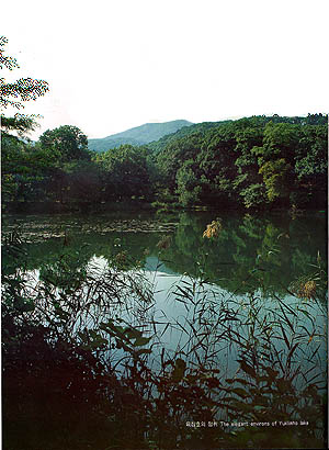 육림호의 정취(the elegant environs of Yuklimho(lake))