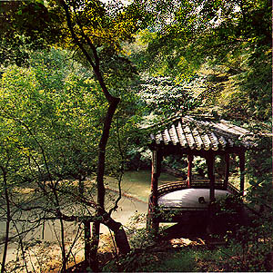 정자가 있는 숲(Pavilion in forest)