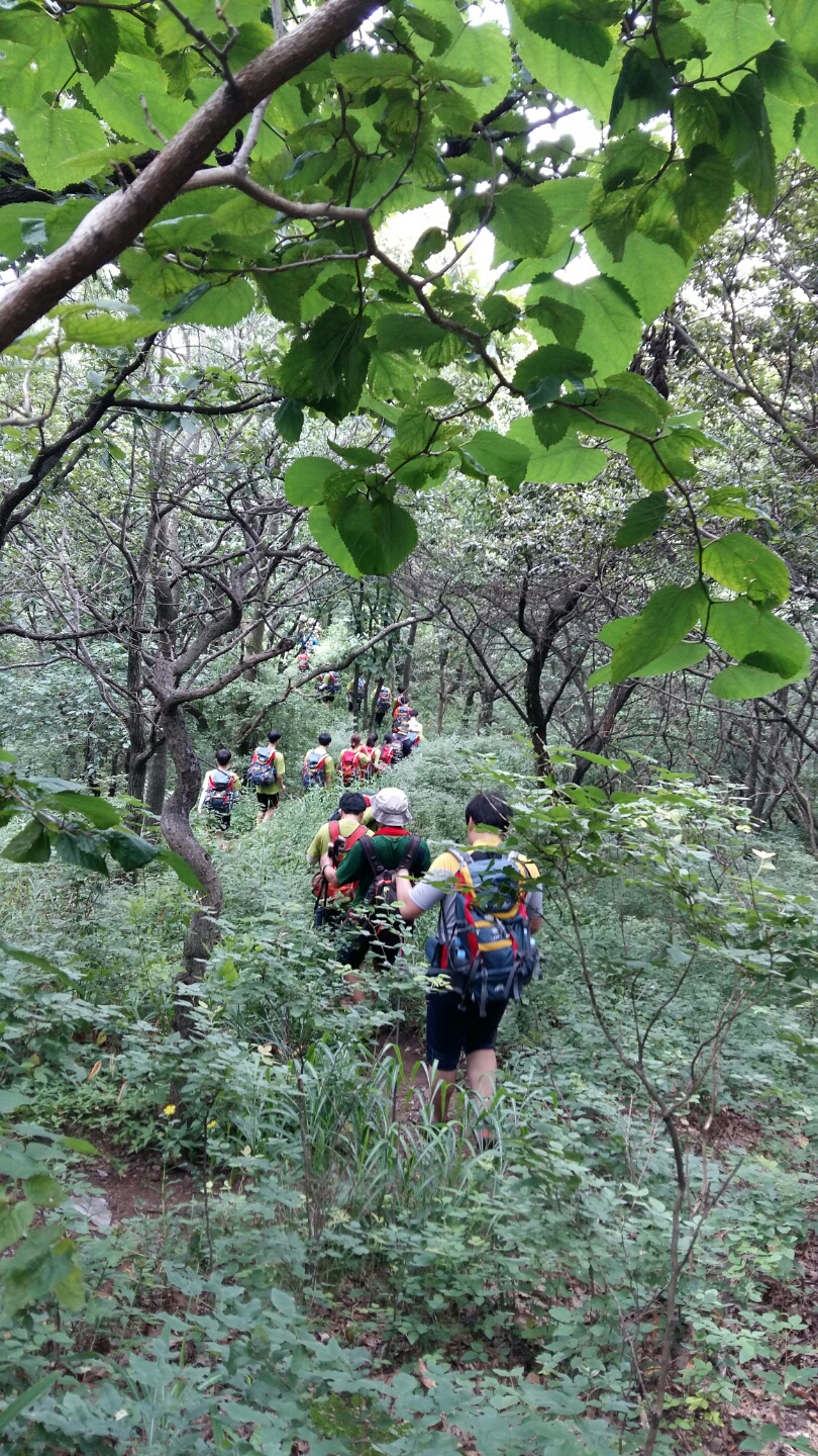 서부지방산림청, 7.30~8.4일 청소년 백두대간 산림생태탐방 개최 이미지2