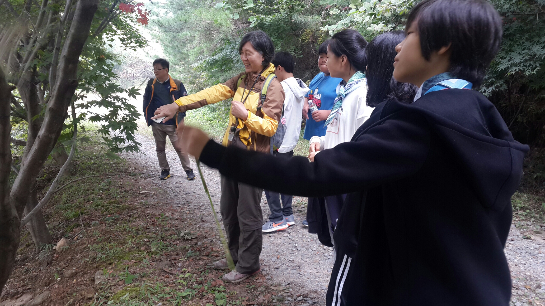 서부지방산림청, 2017년 산림서비스도우미사업 참여자 모집 이미지1