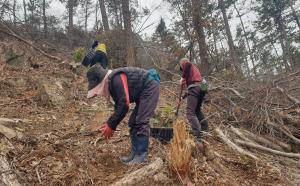 영암국유림관리소, 탄소중립 실천을 위한 나무심기 본격 시작