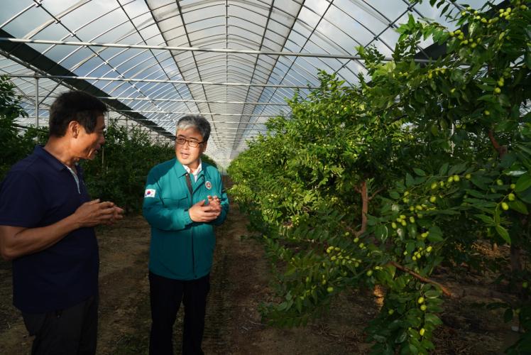 산림청, 폭염대비 임산물 생산현장 살펴