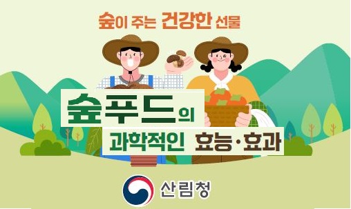 숲이 주는 건강한 선물 숲푸드의 과학적인 효능 효과