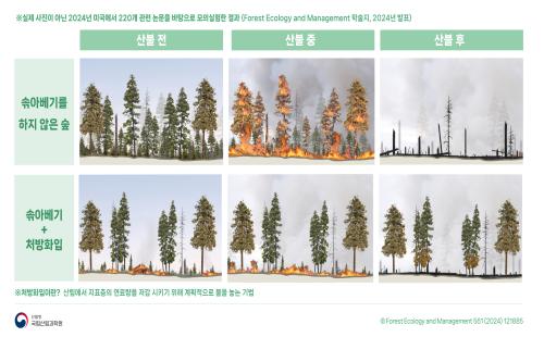 대형산불 대응, 연료를 줄이는 숲가꾸기가 해답이다